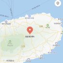 오리랜드 | 제주 동쪽 아이랑 가볼만한곳 길갈 팜 랜드 후기 목장 오리 동물