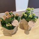 이마트24 의정부민락점 이미지