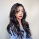 디자인지인주