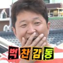 일년열두달 | 혈액원 간호사 합격후기 2탄 ⭐️ !! // 사실 한달이 일년 같았어요… // 혈액원 🩸퇴사 후기