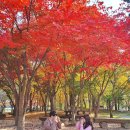 경상북도산림생태과학원 이미지