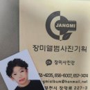 장미앨범사진기획