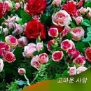 거기경로당 이미지