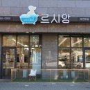 범어애견 이미지