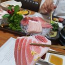 참치마참치