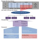 DH케어(DH CARE) | 피부의 MBTI, 바우만 스킨 타입(BST)과 타입별 관리방법(Skin type 과 제품 추천 사이트 사용방법 공유...