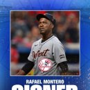 라파엘1 이미지