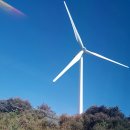 에덴밸리 이미지