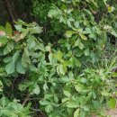 너래농원 이미지