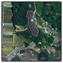 신풍면사무소 이미지