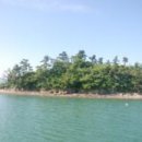 변월도