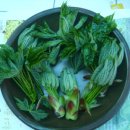 순이밥상 Daum카페