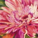 컬러풀 수채화 이미지