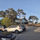 알프스퍼블릭 | 평창 알펜시아700cc 5월 벚꽃 라운딩 후기..아시아/알프스 코스