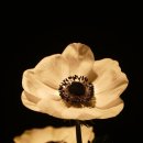 k 행정사 사무소 이미지