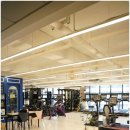 바디미라클 이미지