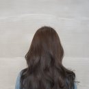 하이엘로이 네이버블로그