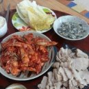 단풍세탁 이미지