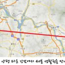 팜누리 이미지