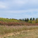 거사목장 이미지