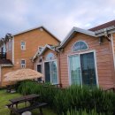 세오니네 이미지