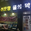 신포항막회물회 이미지