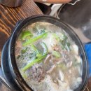 [청주용암동맛집] 마지고향순대 용암점 내돈내산 후기, 자극없이 푸짐한 철판 곱창볶음