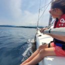 수산항요트마리나 | 양양 수산항 마리나 요트체험 패들보드 체험