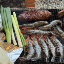 에제르펫 이미지