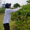 세종홈플러스건너편 이미지