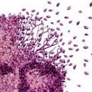 치매예방 기체조 이미지