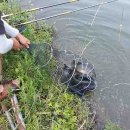 산골낚시터 이미지