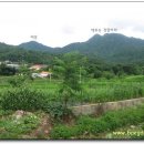 내촌면사무소 이미지