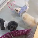 러블리멍 이미지