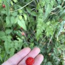 종합운동장길 이미지