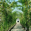 행복에너지1발전소 이미지