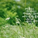 시편23
