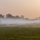 안서목장 이미지