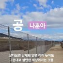 인생사 공수래공수거(人生史 空手來空手去) 이미지
