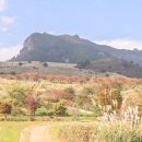 황매산군립공원 이미지