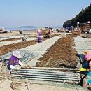 서부(죽산리) 연합뉴스