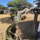 푸른식물병원 이미지