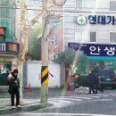안생약국 네이버블로그