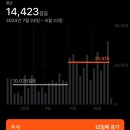 유로이비시 | 남프랑스 여행, 꼭 가볼만한곳 BEST 7