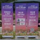양재근린공원 | [서울 가볼 만한 곳] 2024 양재 아트살롱 후기#양재천주차장 #양재근린공원공영주차장