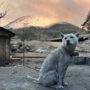 김용환농장 이미지