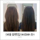 예진컨설팅 - 송파구 법원로 92 | 대치동 데이유헤어 예진원장님 염색 후기