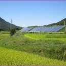 성전 버스터미널 이미지