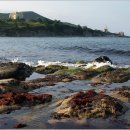 서샘물목장 이미지