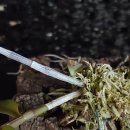 두진농장 이미지